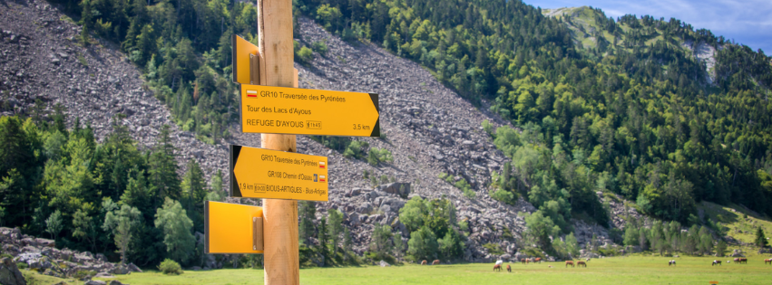 Effort de longue durée et randonnée : pourquoi votre corps préfère l'énergie crue