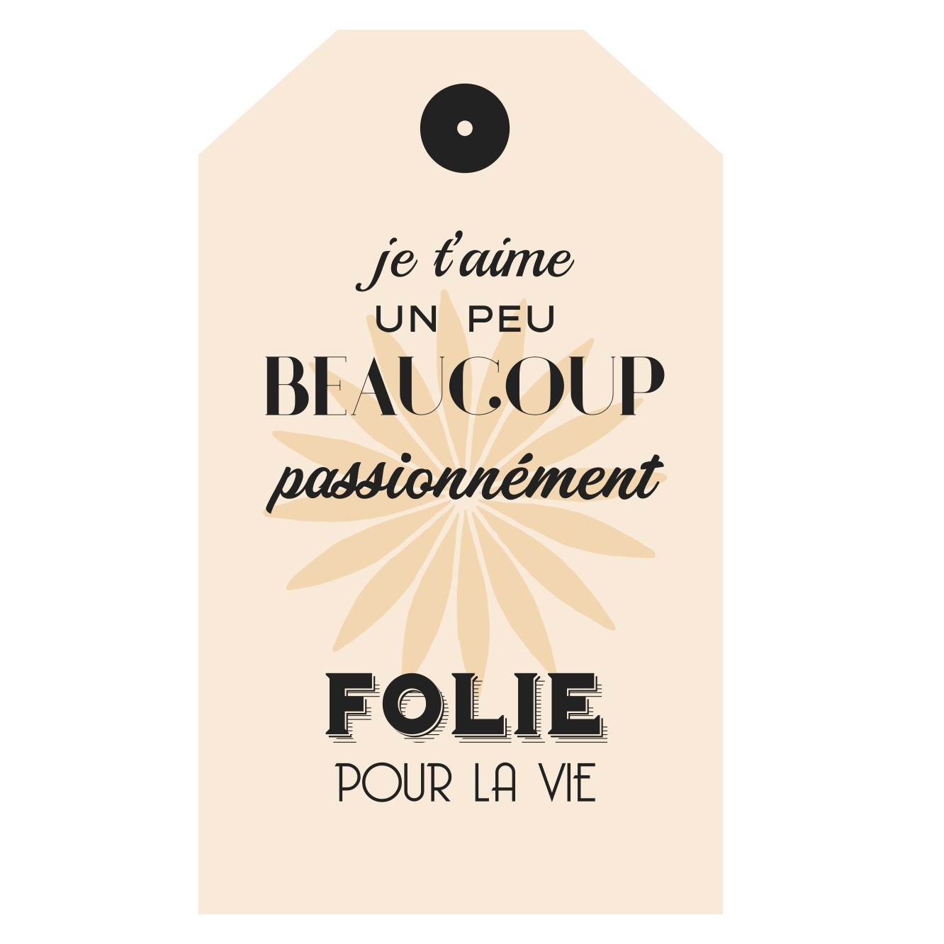 Carte personnalisée "Je t'aime à la folie"